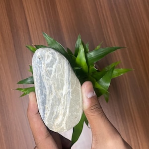 Natural Decorative Stones – Polished Pebbles and Rock Pieces for Home Decor, Garden Landscaping, Aquarium & Craft Projects