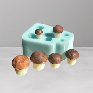 Peut inclure: Plusieurs figurines de champignons miniatures avec des chapeaux bruns et des tiges blanches. Les champignons sont disposés devant un moule bleu clair. Le fond est gris et blanc doux.