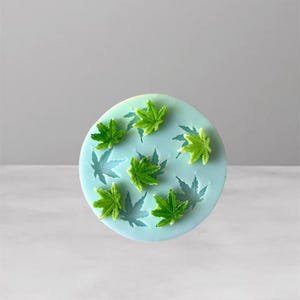 May include: A light blue silicone mold with a circular shape, featuring several green maple leaf designs. The mold has a smooth surface with detailed leaf impressions and raised leaf accents.
