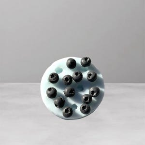 Könnte beinhalten: Ein hellblaues, kreisförmiges Objekt mit mehreren dunkelblauen Blaubeeren, die über seine Oberfläche verstreut sind. Die Blaubeeren haben eine strukturierte Optik, und das Objekt befindet sich vor einem neutralen Hintergrund.