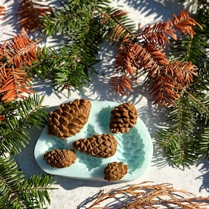 以下が含まれることがあります： 薄い青色の型の上に、茶色の松ぼっくり型のオブジェクトがいくつか配置され、緑とオレンジ色の松の枝で囲まれています。 松ぼっくりは、自然をテーマにした詳細でテクスチャ加工された表面を持っています。