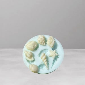 May include: A light blue silicone mould filled with various seashell shapes in off-white. The mould includes a scallop shell, a conch shell, a starfish, and other sea-themed designs. The seashells are arranged in a circular pattern.