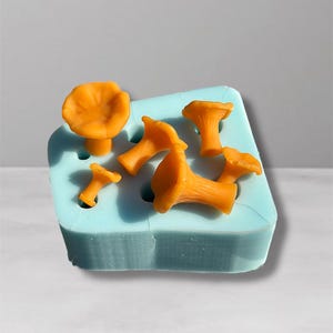 Peut inclure: Plusieurs objets orange en forme de champignon sont disposés sur un moule en silicone bleu clair. Les champignons sont de tailles et de formes variées, avec un aspect lisse et arrondi. Le moule est rectangulaire avec des coins arrondis.