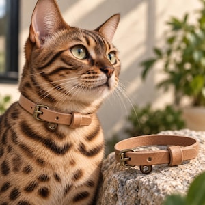 Può includere: Un collare per gatti in pelle color cuoio con una fibbia in metallo color ottone e un piccolo anello circolare. Il collare presenta un semplice design a cinturino regolabile con un passante in pelle abbinato, indossato da un gatto e su una pietra.
