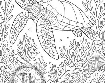 May include: Black and white line art of a sea turtle swimming above coral and seaweed, with three small fish. The turtle has a detailed shell pattern. The image is a coloring page.
