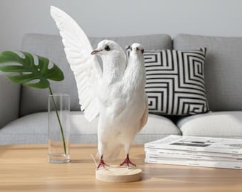 Real Taxidermy White Dove | Flying Bird Mount 12" | Spread Wings Peace Symbol | Wedding Venue Decor | Holy Spirit Religious Art | Oddities