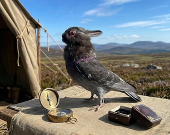 Rabbit Head Pigeon Body Specimen Hybrid | Mixed Species Chimera Mount | 9 Inch Tall Dark Academia Curiosity.