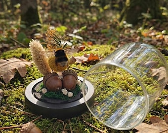 Real bumblebee specimen | Rustic forest terrarium | Insect specimen | Specimen ornament | Indoor ornaments|Gift for nature lovers.