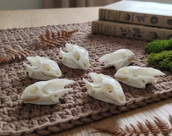 Real Turtle Skull | Whitened Bone, Gothic Jewelry Supply