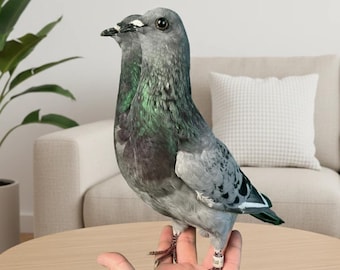 Real Taxidermy Two Headed Grey Pigeon | Bicephalic Rock Dove | Rogue Taxidermy Art | Oddities Curiosities | Urban Gothic Steampunk Decor