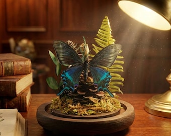 Real Green-banded Swallowtail butterfly specimen, desktop decoration, exquisite ornament, creative gift, the best gift, Gothic style.