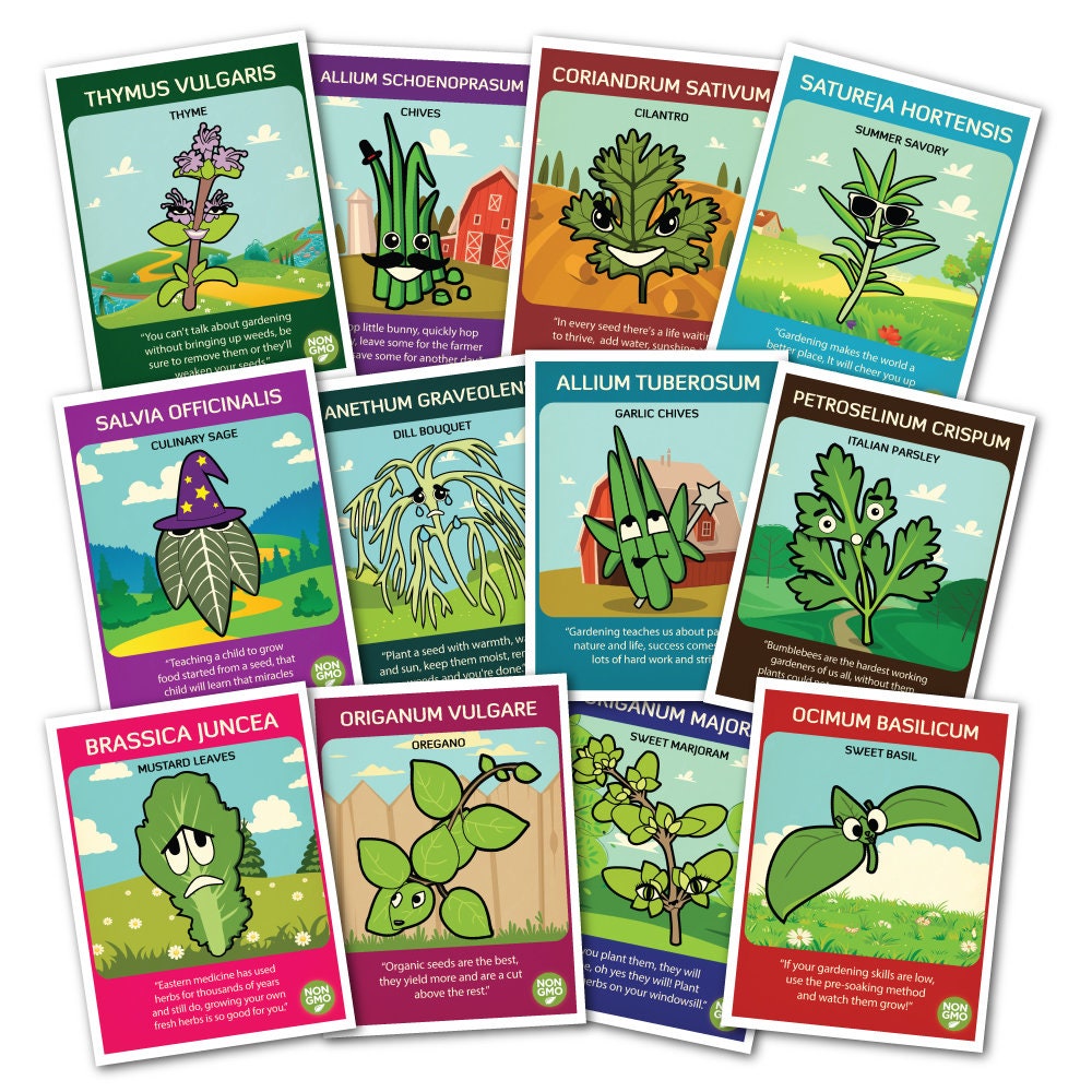 Kid Friendly HERB Garden Seed Set (Indoors or Out) 12 Varieties featu…
