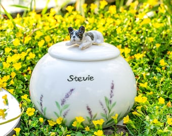 May include: A white ceramic pet urn with a lid, featuring a small, decorative French bulldog figurine on top. The urn is adorned with lavender sprigs and the name "Stevie". The urn is surrounded by yellow flowers.