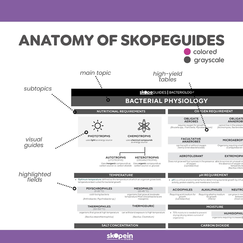 Microbiology Notes Bacteria Physiology Reference Guide: Cheat Sheet for ...