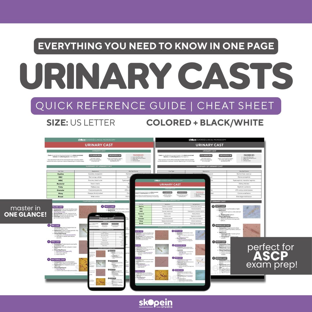 Urinary Casts Quick Reference Guide: MLS ASCP Exam Prep (digital ...
