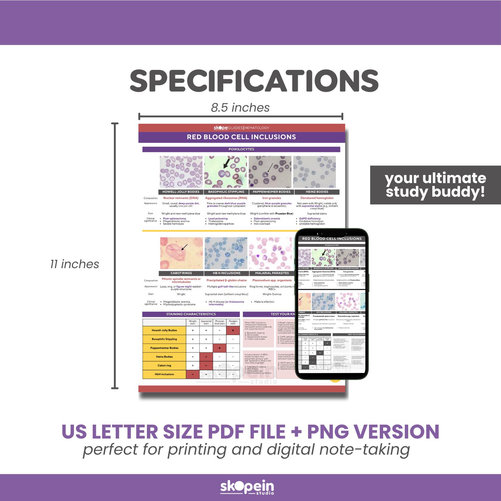 Hematology RBC Inclusions Quick Reference Guide: ASCP Exam Prep ...