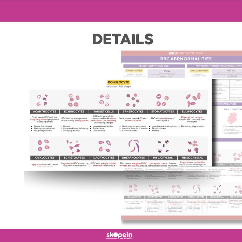 Hematology Part 1 BUNDLE Reviewer Quick Reference Review Guide: MLS ...
