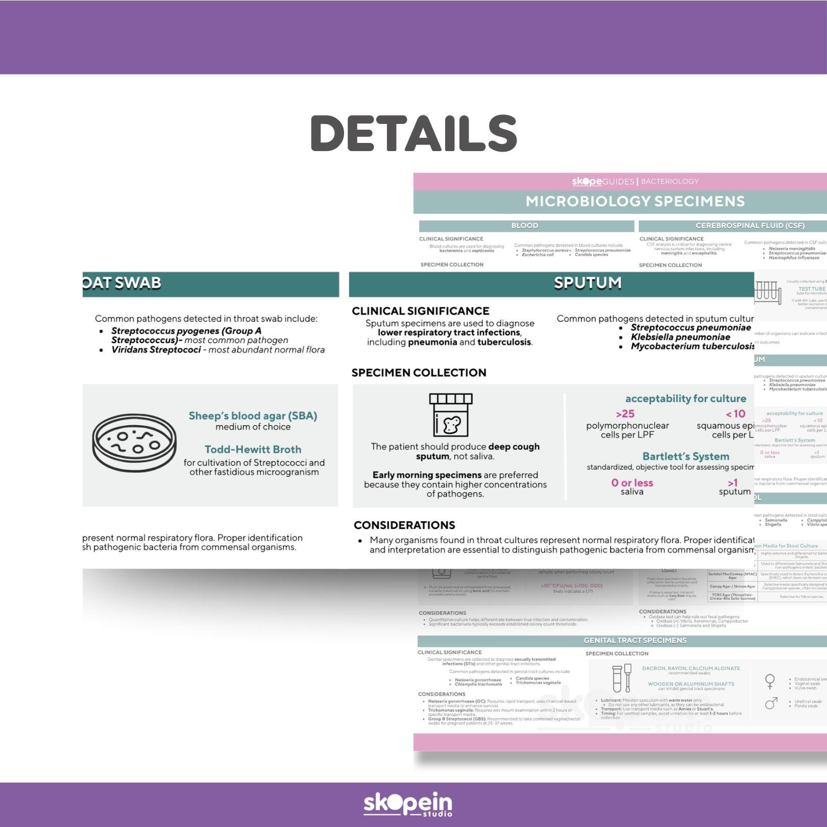 Microbiology Notes Bacteria Clinical Specimen Reference Guide: Cheat ...