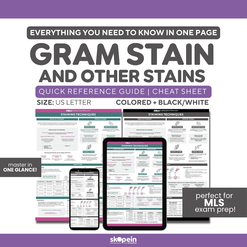 Microbiology Notes Gram Stain Reference Guide | Bacteria Study Cheat ...