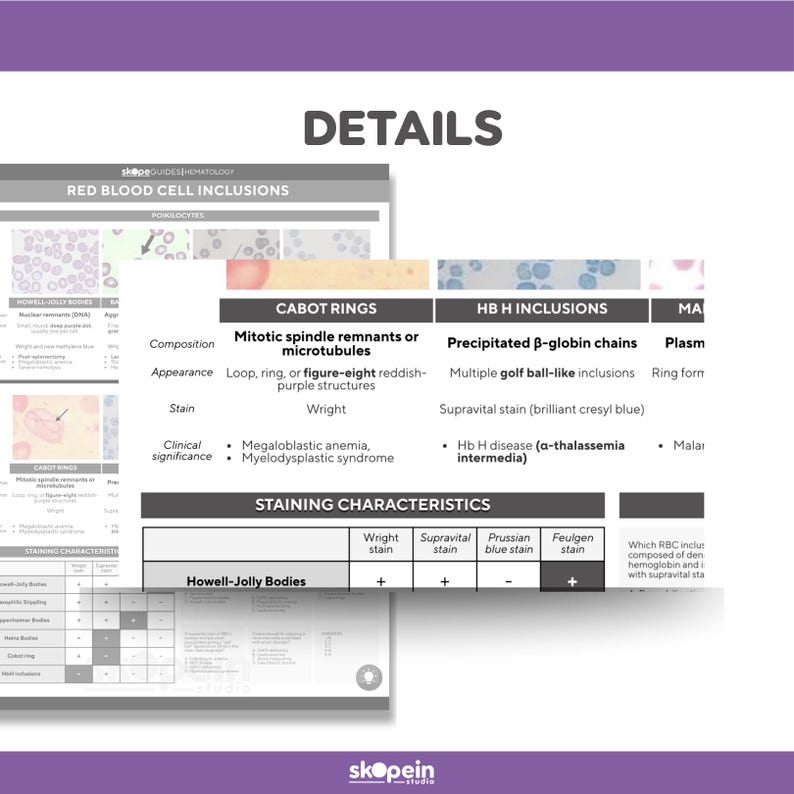 Hematology RBC Inclusions Quick Reference Guide: ASCP Exam Prep ...