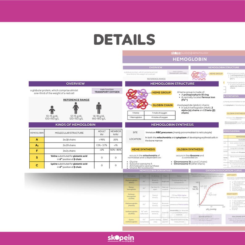 Hematology Part 1 BUNDLE Reviewer Quick Reference Review Guide: MLS ...