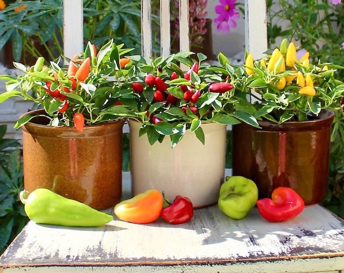 Minimalist Glazed Planter