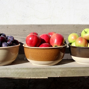 May include: Four ceramic bowls filled with fresh fruit, including plums, red apples, green apples, and cherries. The bowls are arranged on a wooden surface against a white wall, with sunlight illuminating the scene.
