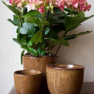 Traditionele ambachtelijke plantenbakken