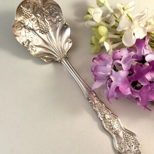 May include: A silver-toned metal serving spoon featuring an ornate, scalloped bowl embossed with a detailed grape and vine motif. The handle is similarly decorated with intricate floral and fruit relief patterns, extending into a slender neck.