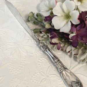May include: A silver-toned metal knife featuring an ornate handle with embossed grape and vine motifs. The blade is smooth and reflective, while the handle displays intricate detailing. The knife is positioned diagonally across the frame.