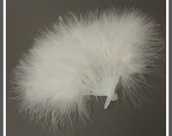 swan down feathers