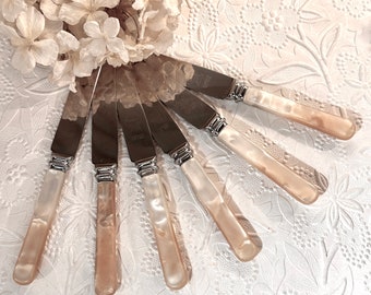 May include: A set of five stainless steel knives arranged in a fan shape. Each knife features a polished metal blade and a smooth, cream-colored pearlescent handle with a marbled effect. The blades are engraved with text near the bolster.