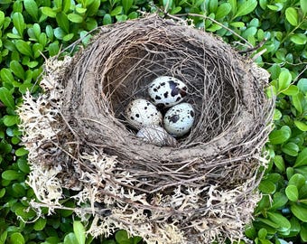 Natural Real Bird Nest Mud & Grass Moss – Rustic Country Farmhouse Garden Decor,  Crafting