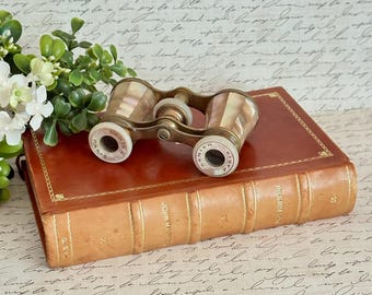 Antique French Mother of Pearl Binocular Glasses, Lamier Paris MOP Opera Glasses