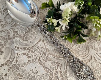 May include: A polished silver-toned spoon featuring a highly detailed handle with a raised relief design of intertwined grapevines, leaves, and clusters of grapes. The bowl of the spoon is smooth, reflective, and oval-shaped, showcasing a metallic finish.