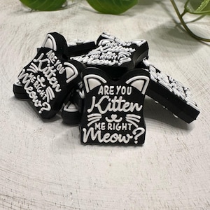 May include: A pile of black and white cat-shaped shoe charms. Each charm features a cat face design with the text "ARE YOU Kitten ME RIGHT Meow?" in white lettering. The charms are on a white, textured surface.