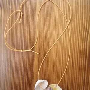 Natural Seashell Necklace