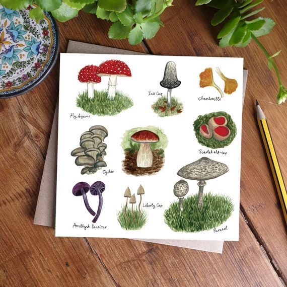 Mushrooms and Fungi Illustration Greeting Card