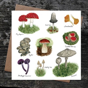 K&ouml;nnte beinhalten: Eine Illustration von zehn verschiedenen Pilzarten, darunter Fliegenpilz, Tintling, Pfifferling, Austernseitling, Scharlachroter Becherling, Freiheitskappe, Amethyst-T&auml;ubling und Parasol.