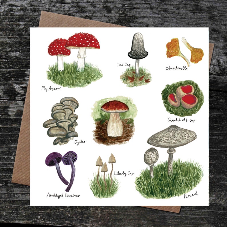 K&ouml;nnte beinhalten: Eine Illustration von zehn verschiedenen Pilzarten, darunter Fliegenpilz, Tintling, Pfifferling, Austernseitling, Scharlachroter Becherling, Freiheitskappe, Amethyst-T&auml;ubling und Parasol.