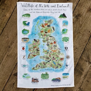 Könnte beinhalten: Eine Aquarellillustration von Großbritannien und Irland mit einer Karte der Inseln und verschiedenen Tieren und Vögeln. Der Text lautet "Wildlife of the UK and Ireland" und "Some of the creatures that call these small islands 'home' and the different habitats they live in."