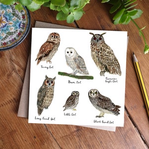 Owl Greeting Card, British Birds, Wildlife Illustration, Animal Lover Card