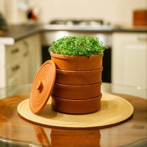 Farmhouse Ceramic Seed Sprouter Terracotta Microgreen Kit with Water Tray for Growing Sprouts and Microgreens Indoors