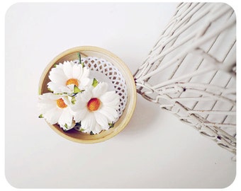 Daisy White Mulberry flor de papel / paquete