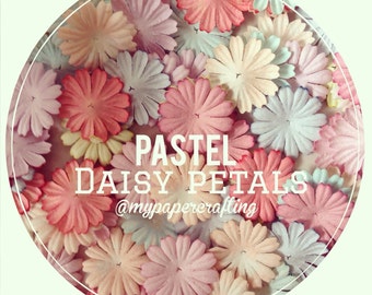 Mixed pastel daisy Petals / pack