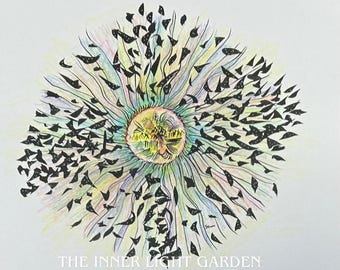 Puede incluir: Un dibujo a lápiz de colores de una flor estilizada con un centro amarillo y pétalos radiantes en tonos de azul, verde y morado. Formas negras que se asemejan a hojas o pétalos rodean la flor. El texto "THE INNER LIGHT GARDEN" está en la parte inferior.