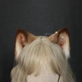 Faux Fur Cat Ears & Tail Set: Handmade Plush Cosplay Costume product logo