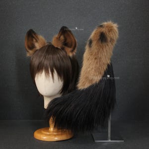 Op de afbeelding: Een bruin en zwart cosplay set van imitatiebont, inclusief een paar oren en een staart. De oren zijn bevestigd aan een pruik en de staart wordt ondersteund door een metalen standaard. De staart heeft een gevlekt patroon.