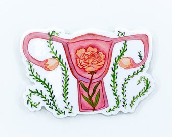 May include: A pink anatomical illustration of a uterus with a flower growing inside. The uterus is surrounded by green leafy vines.
