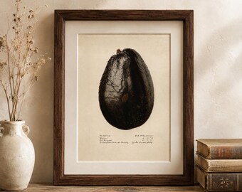 May include: A framed botanical print featuring a dark, textured avocado illustration centered on a cream-colored background. Below the fruit, handwritten text includes the label "Avocado" along with dates and location details in black ink.